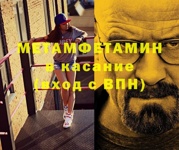 прущие грибы Вязники