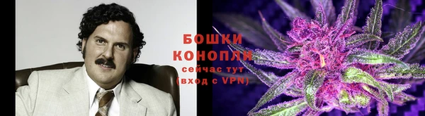 дмт Киреевск