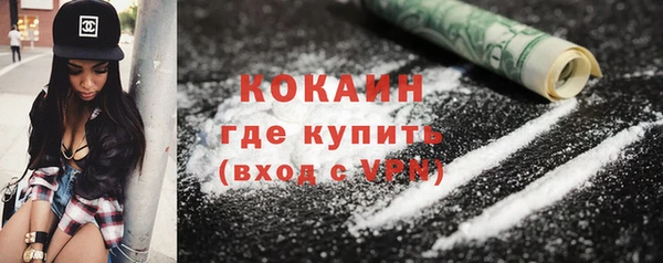 мдпв Гусев