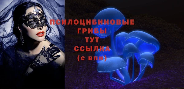 ГАЛЛЮЦИНОГЕННЫЕ ГРИБЫ Армянск
